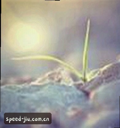 吴悦